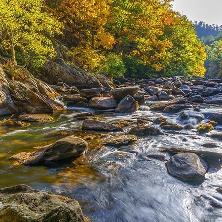 Apartmán Bear Cub Retreat Gatlinburg Exteriér fotografie