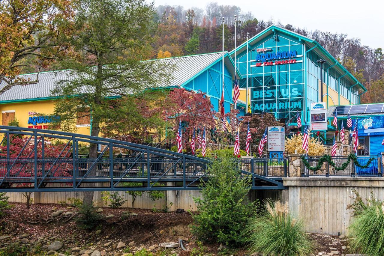 Apartmán Bear Cub Retreat Gatlinburg Exteriér fotografie
